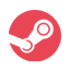 steam